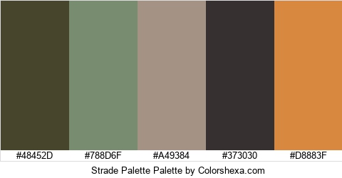 Strade Palette Colors Logo