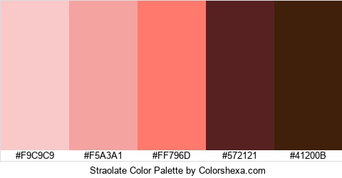 Straolate Color Colors Logo
