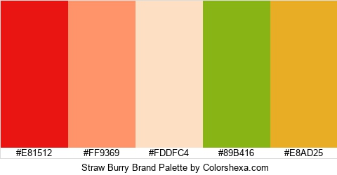 Straw Burry Brand Colors Logo