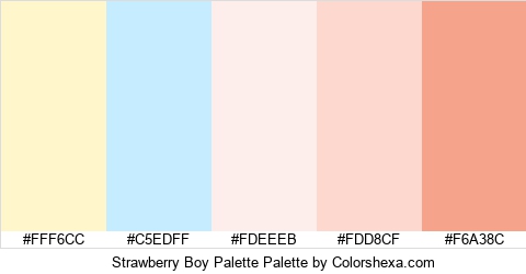 Strawberry Boy Palette Colors Logo