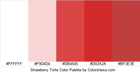 Strawberry Torte Color Colors Logo