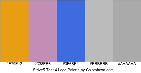 Strive5 Test 4 Logo Colors Logo