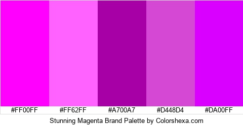 Stunning Magenta Brand Colors Logo