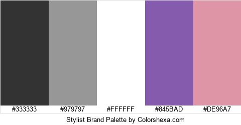 Stylist Brand Colors Logo