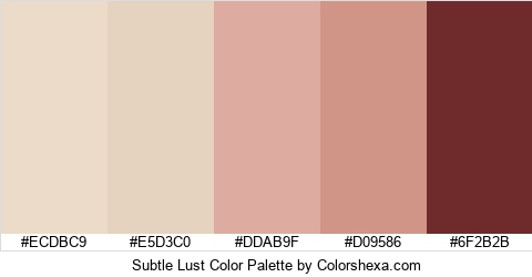 Subtle Lust Color Colors Logo