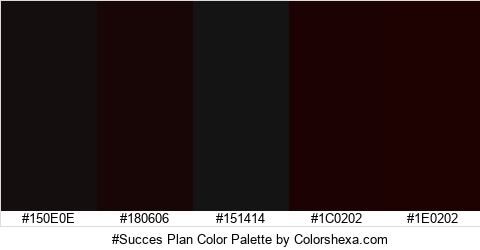 #Succes Plan Color Colors Logo
