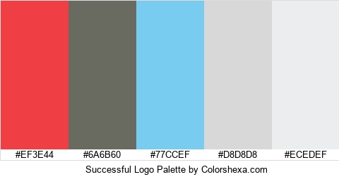 Successful Logo Colors Logo