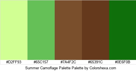 Summer Camoflage Palette Colors Logo