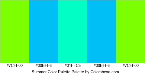 Summer Color Palette Colors Logo