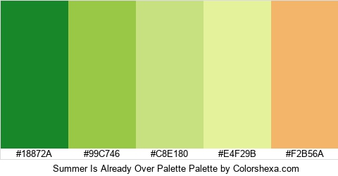 Summer Is Already Over Palette Colors Logo
