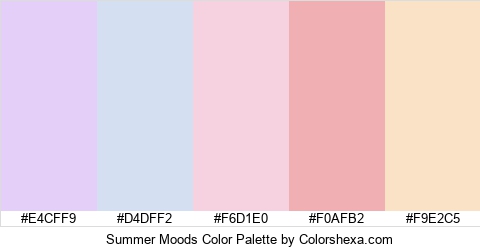 Summer Moods Color Colors Logo