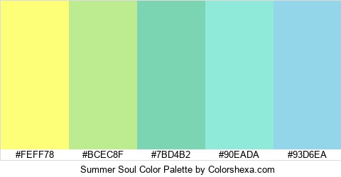 Summer Soul Color Colors Logo