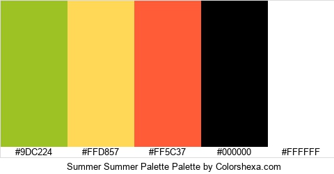 Summer Summer Palette Colors Logo