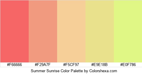 Summer Sunrise Color Colors Logo