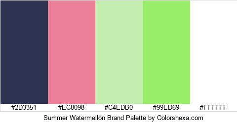 Summer Watermellon Brand Colors Logo