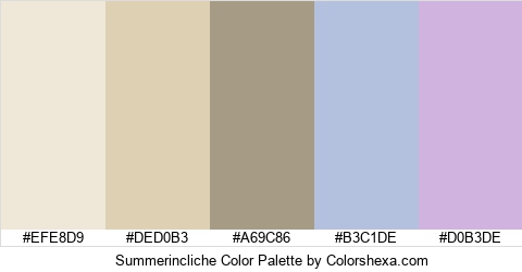 Summerincliche Color Colors Logo