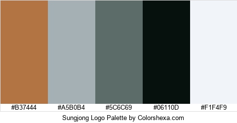 Sungjong Logo Colors Logo
