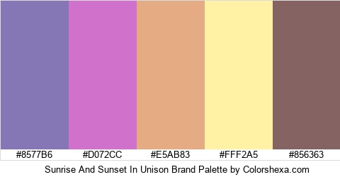 Sunrise And Sunset In Unison Brand Colors Logo