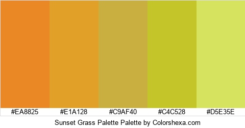 Sunset Grass Palette Colors Logo