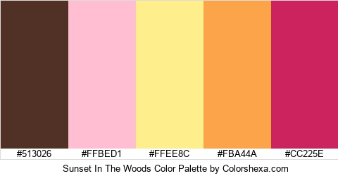 Sunset In The Woods Color Colors Logo