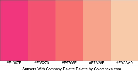 Sunsets With Company Palette Colors Logo