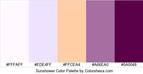 Sunshower Color Colors Logo