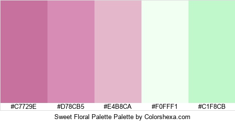Sweet Floral Palette Colors Logo