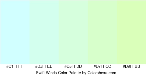 Swift Winds Color Colors Logo
