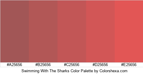 Swimming With The Sharks Color Colors Logo
