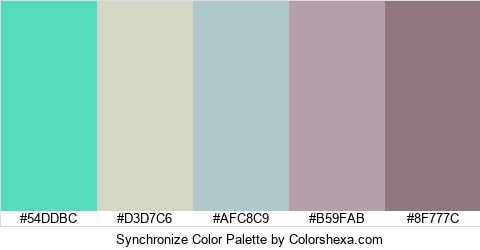 Synchronize Color Colors Logo