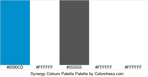 Synergy Colours Palette Colors Logo