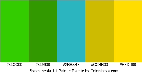 Synesthesia 1.1 Palette Colors Logo