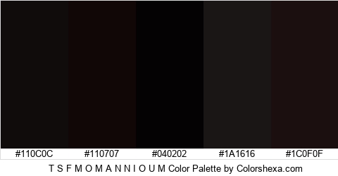 T S F M O M A N N I O U M Color Colors Logo