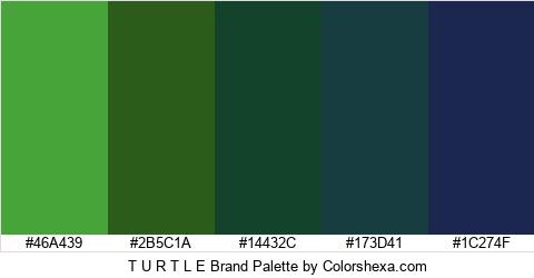 T U R T L E Brand Colors Logo