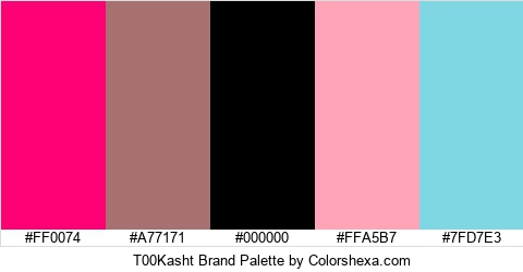 T00Kasht Brand Colors Logo