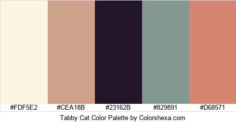 Tabby Cat Color Colors Logo
