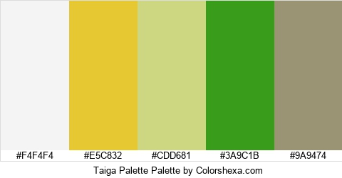 Taiga Palette Colors Logo