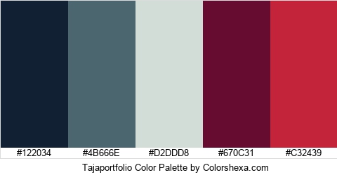 Tajaportfolio Color Colors Logo