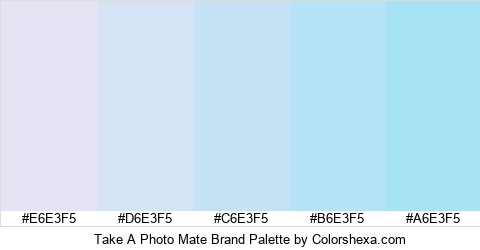 Take A Photo Mate Brand Colors Logo