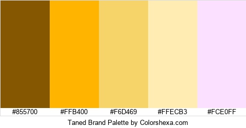 Taned Brand Colors Logo