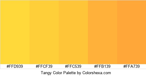 Tangy Color Colors Logo