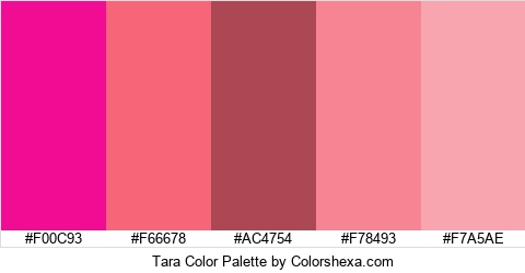 Tara Color Colors Logo