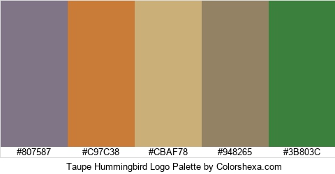 Taupe Hummingbird Logo Colors Logo