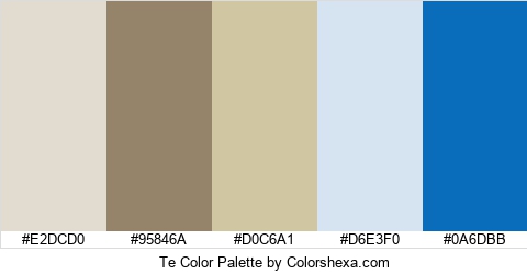 Te Color Colors Logo