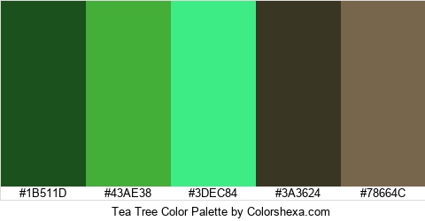Tea Tree Color Colors Logo