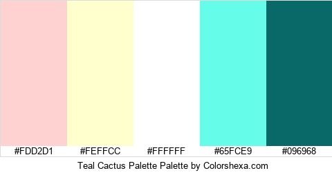Teal Cactus Palette Colors Logo