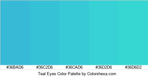 Teal Eyes Color Colors Logo