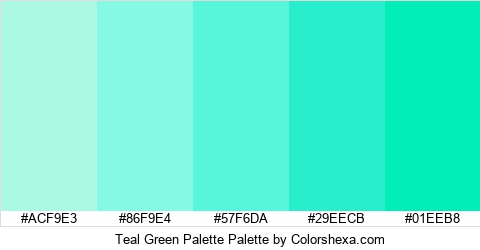 Teal Green Palette Colors Logo
