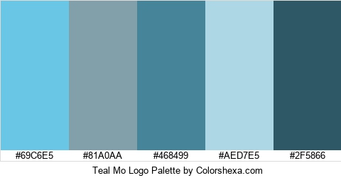 Teal Mo Logo Colors Logo