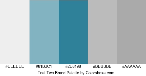 Teal Two Brand Colors Logo